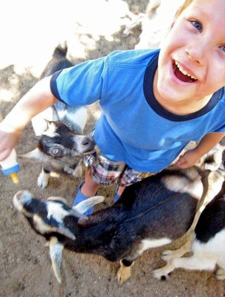 Harrison at Grant's Farm